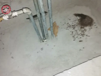 盘山卫生间测漏水价格明细